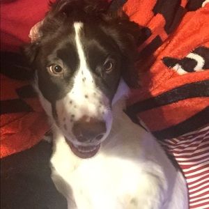 Meet your Posher, Jonjoni